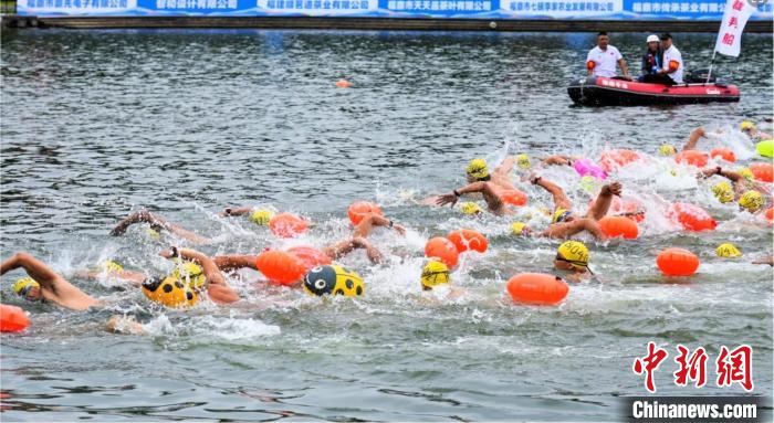 全国900余名泳将福建福鼎畅游桐山溪公开水域：