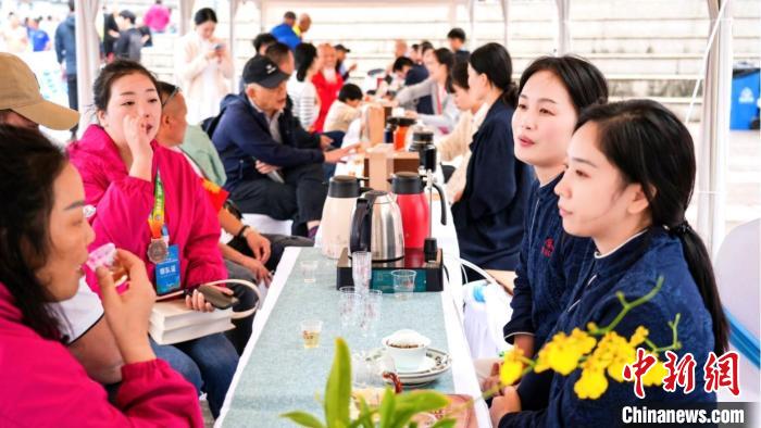 全国900余名泳将福建福鼎畅游桐山溪公开水域：