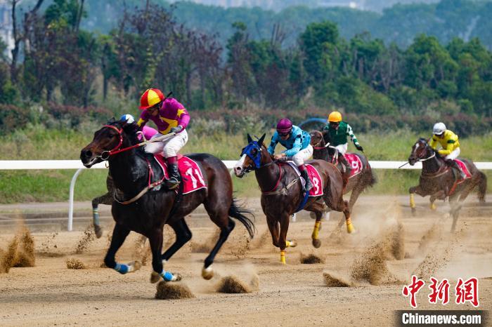 武汉赛马重启二十周年 高规格赛事齐聚国际赛马