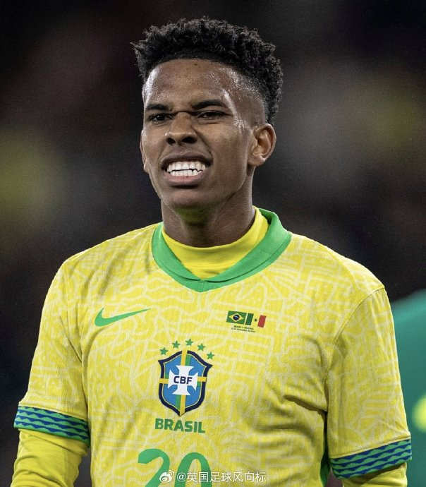 埃斯特旺赛季报销或影响世界杯参赛资格